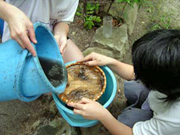 高校環境問題研究部の画像