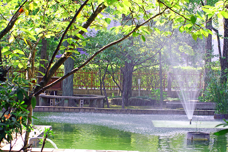 夏の噴水広場