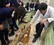 中学2年理科シイタケ栽培